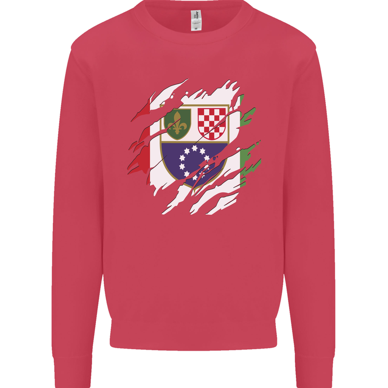 Torn Bosnia and Herzegovina Flag Day Football Kids Sweatshirt Jumper Heliconia