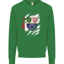 Torn Bosnia and Herzegovina Flag Day Football Kids Sweatshirt Jumper Irish Green