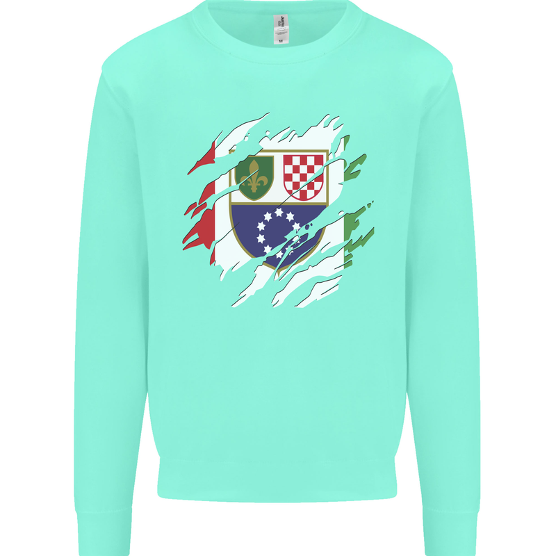 Torn Bosnia and Herzegovina Flag Day Football Kids Sweatshirt Jumper Peppermint