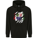 Torn Bosnia and Herzegovina Flag Day Football Mens 80% Cotton Hoodie Black