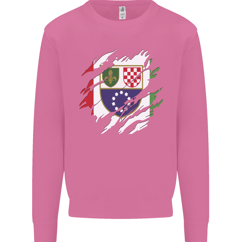 Torn Bosnia and Herzegovina Flag Day Football Mens Sweatshirt Jumper Azalea