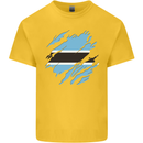 Torn Botswana Flag Batswana Day Football Kids T-Shirt Childrens Yellow