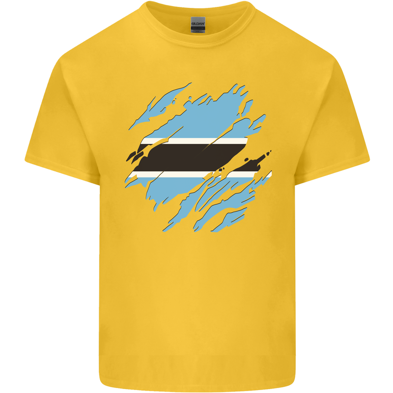 Torn Botswana Flag Batswana Day Football Kids T-Shirt Childrens Yellow