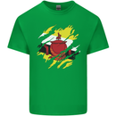 Torn Brunei Flag Bruneian Day Football Kids T-Shirt Childrens Irish Green
