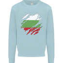 Torn Bulgaria Flag Bulgarian Day Football Kids Sweatshirt Jumper Light Blue