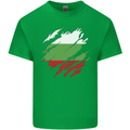 Torn Bulgaria Flag Bulgarian Day Football Mens Cotton T-Shirt Tee Top Irish Green