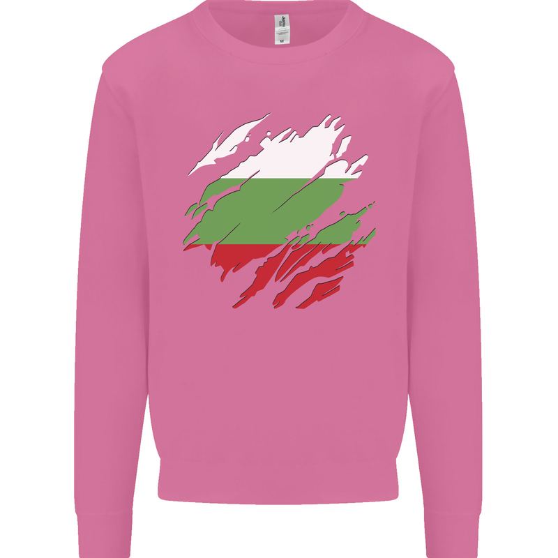 Torn Bulgaria Flag Bulgarian Day Football Mens Sweatshirt Jumper Azalea