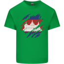 Torn Cambodia Flag Cambodian Day Football Mens Cotton T-Shirt Tee Top Irish Green