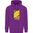 Torn Chad Flag Chadian Day Football Childrens Kids Hoodie Purple