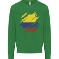 Torn Columbia Flag Columbian Day Football Kids Sweatshirt Jumper Irish Green