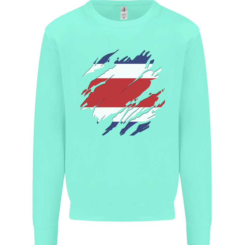 Torn Costa Rica Flag Rican Day Football Kids Sweatshirt Jumper Peppermint