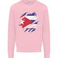 Torn Cuba Flag Cuban Day Football Kids Sweatshirt Jumper Light Pink