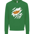 Torn Cyprus Flag Cypriot Day Football Kids Sweatshirt Jumper Irish Green