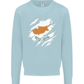 Torn Cyprus Flag Cypriot Day Football Kids Sweatshirt Jumper Light Blue