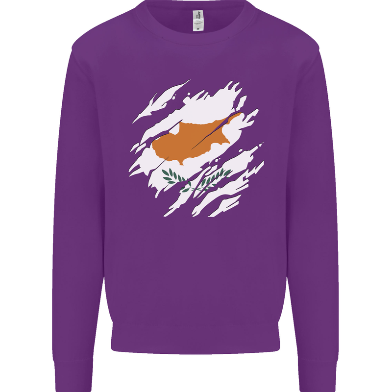 Torn Cyprus Flag Cypriot Day Football Kids Sweatshirt Jumper Purple