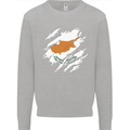 Torn Cyprus Flag Cypriot Day Football Kids Sweatshirt Jumper Sports Grey