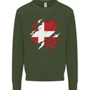 Torn Denmark Flag Danish Day Football Kids Sweatshirt Jumper Forest Green