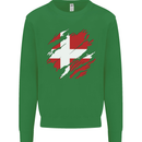 Torn Denmark Flag Danish Day Football Kids Sweatshirt Jumper Irish Green