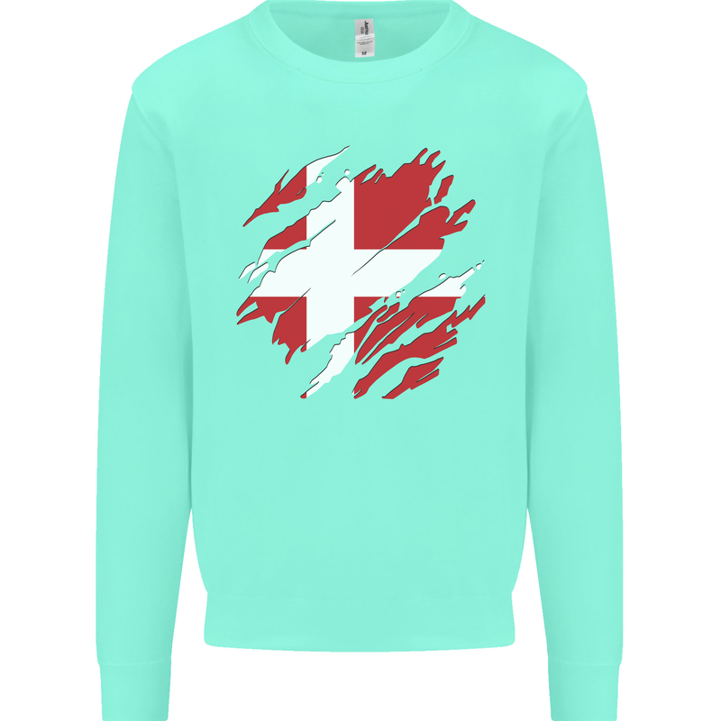 Torn Denmark Flag Danish Day Football Kids Sweatshirt Jumper Peppermint