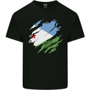 Torn Djibouti Flag Djiboutians Day Football Mens Cotton T-Shirt Tee Top Black