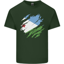 Torn Djibouti Flag Djiboutians Day Football Mens Cotton T-Shirt Tee Top Forest Green