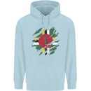 Torn Dominica Flag Dominican Day Football Childrens Kids Hoodie Light Blue