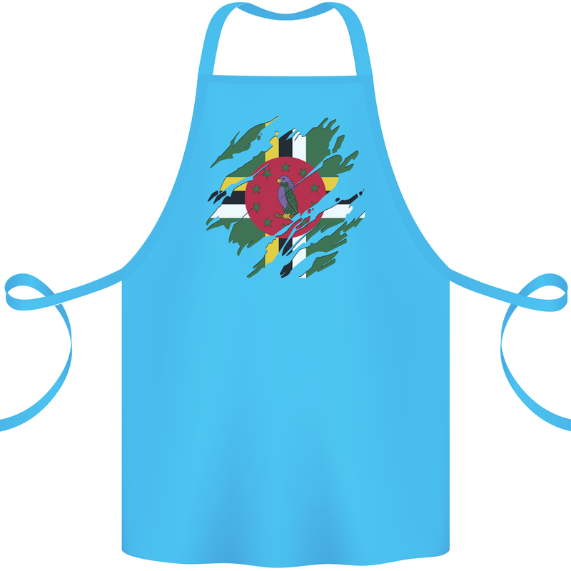 Torn Dominica Flag Dominican Day Football Cotton Apron 100% Organic Turquoise