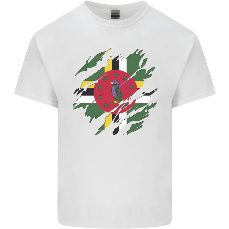 Torn Dominica Flag Dominican Day Football Kids T-Shirt Childrens White
