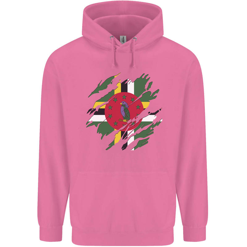 Torn Dominica Flag Dominican Day Football Mens 80% Cotton Hoodie Azelea