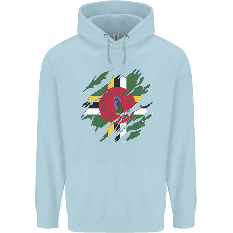 Torn Dominica Flag Dominican Day Football Mens 80% Cotton Hoodie Light Blue