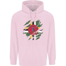 Torn Dominica Flag Dominican Day Football Mens 80% Cotton Hoodie Light Pink
