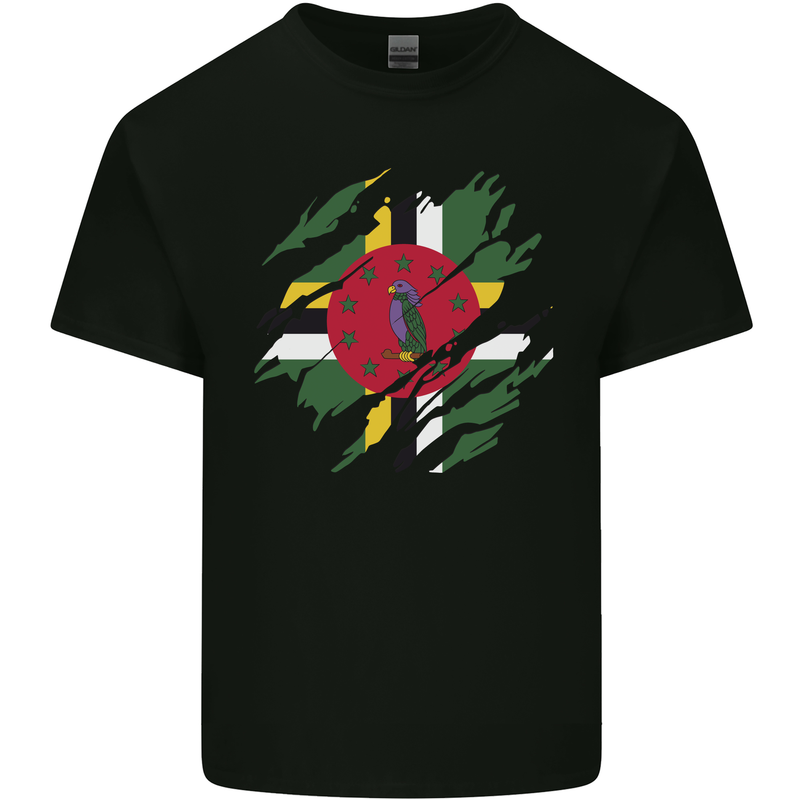 Torn Dominica Flag Dominican Day Football Mens Cotton T-Shirt Tee Top Black