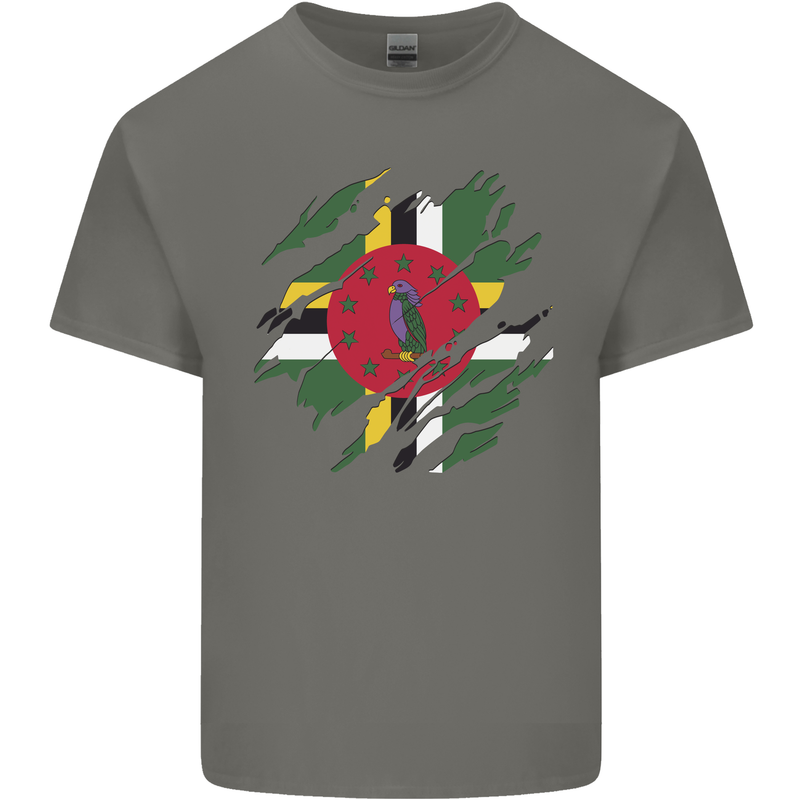 Torn Dominica Flag Dominican Day Football Mens Cotton T-Shirt Tee Top Charcoal