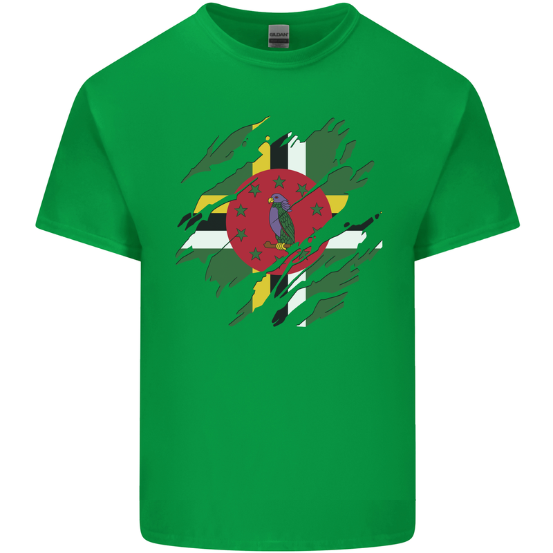 Torn Dominica Flag Dominican Day Football Mens Cotton T-Shirt Tee Top Irish Green