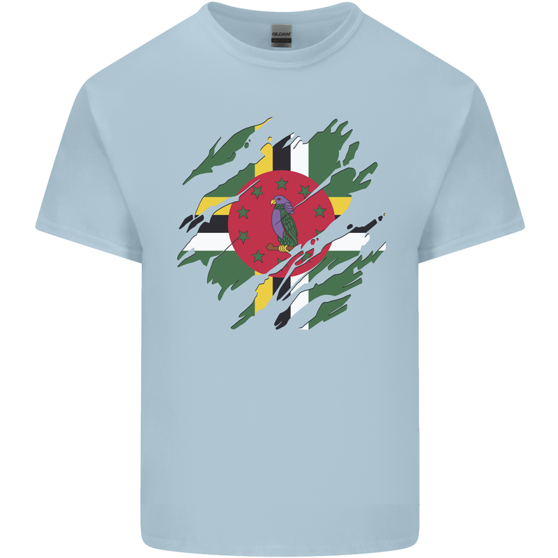 Torn Dominica Flag Dominican Day Football Mens Cotton T-Shirt Tee Top Light Blue