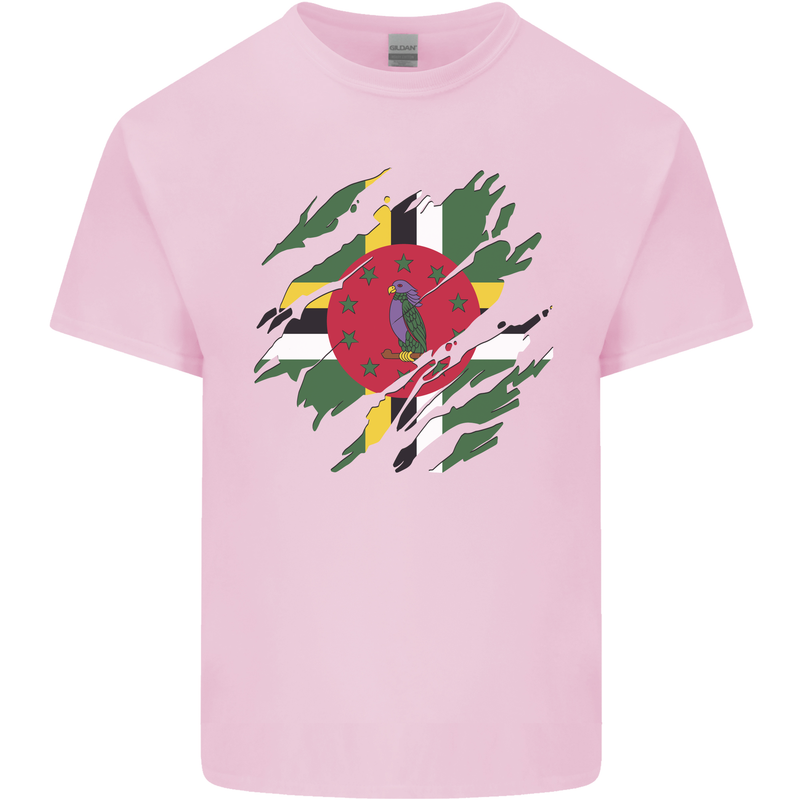 Torn Dominica Flag Dominican Day Football Mens Cotton T-Shirt Tee Top Light Pink