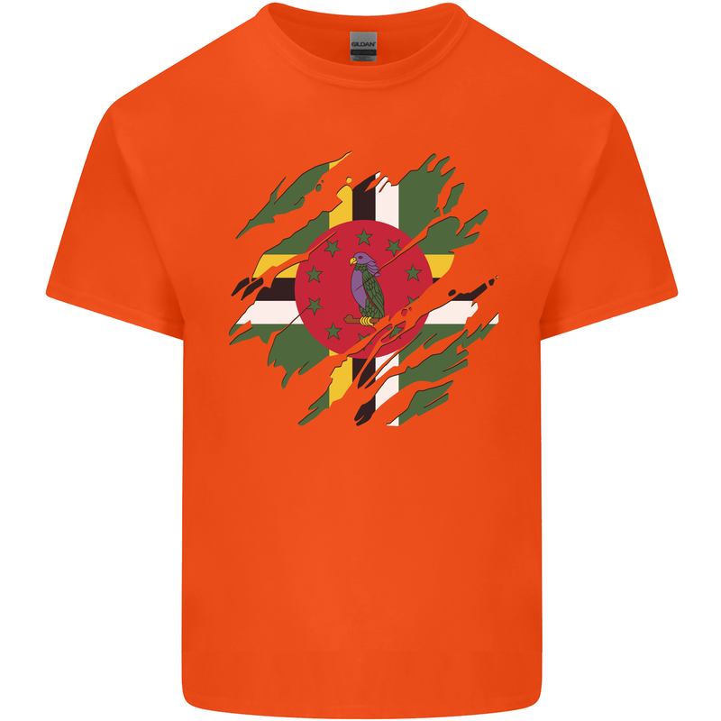 Torn Dominica Flag Dominican Day Football Mens Cotton T-Shirt Tee Top Orange