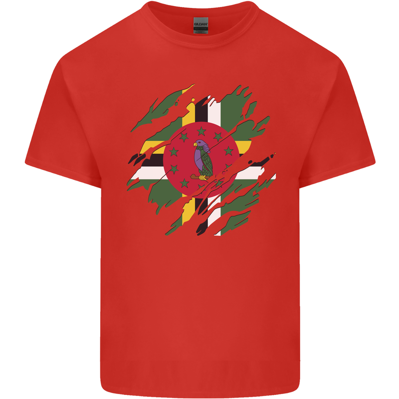 Torn Dominica Flag Dominican Day Football Mens Cotton T-Shirt Tee Top Red