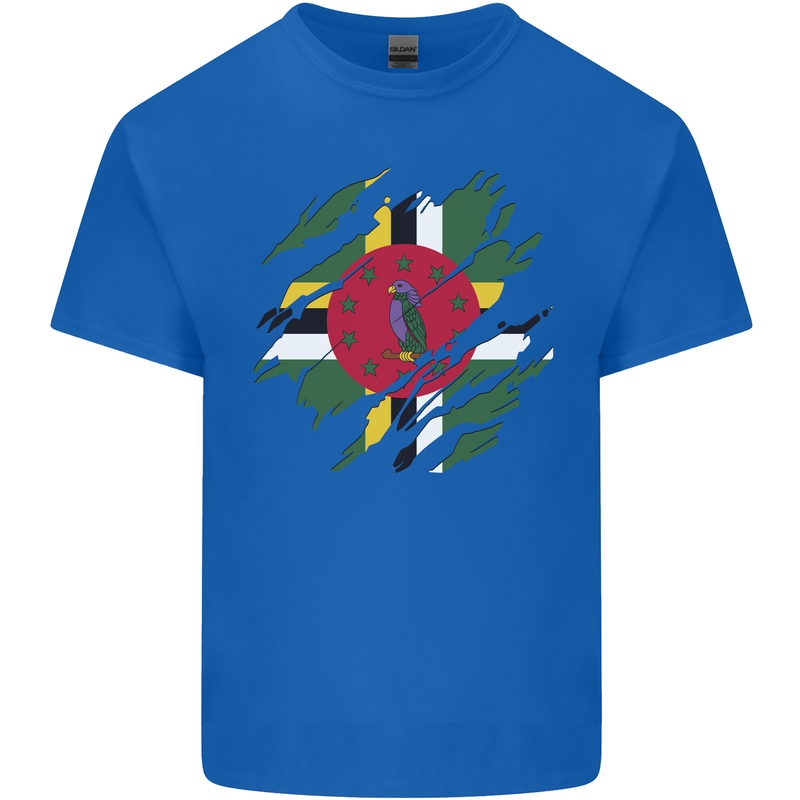 Torn Dominica Flag Dominican Day Football Mens Cotton T-Shirt Tee Top Royal Blue
