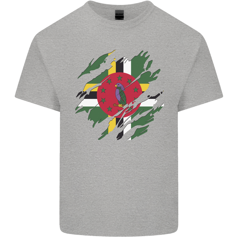 Torn Dominica Flag Dominican Day Football Mens Cotton T-Shirt Tee Top Sports Grey
