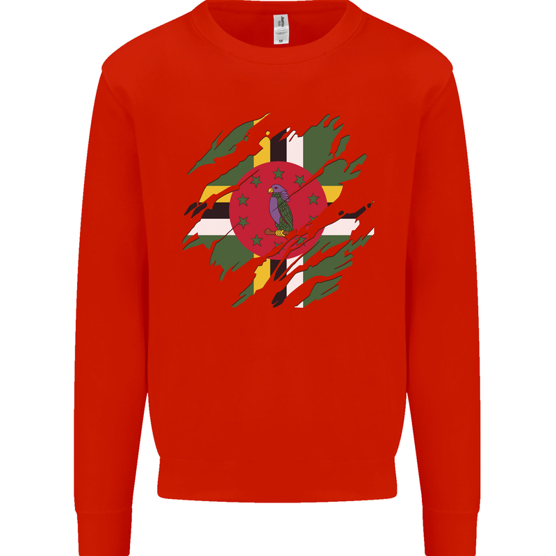 Torn Dominica Flag Dominican Day Football Mens Sweatshirt Jumper Bright Red