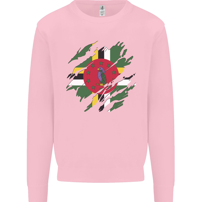 Torn Dominica Flag Dominican Day Football Mens Sweatshirt Jumper Light Pink