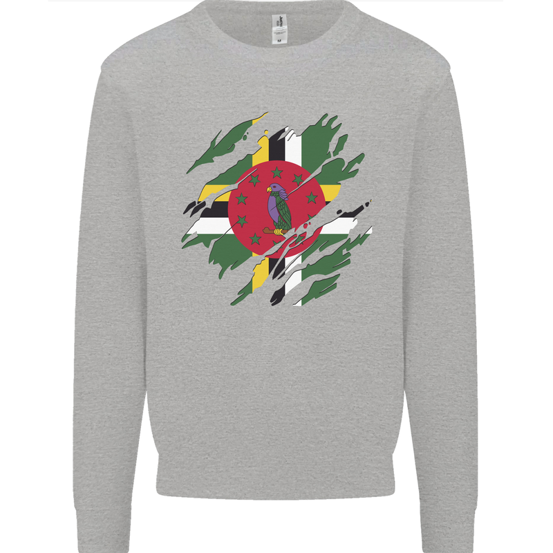 Torn Dominica Flag Dominican Day Football Mens Sweatshirt Jumper Sports Grey