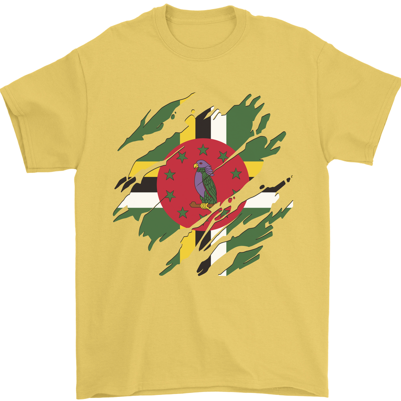 Torn Dominica Flag Dominican Day Football Mens T-Shirt 100% Cotton Yellow