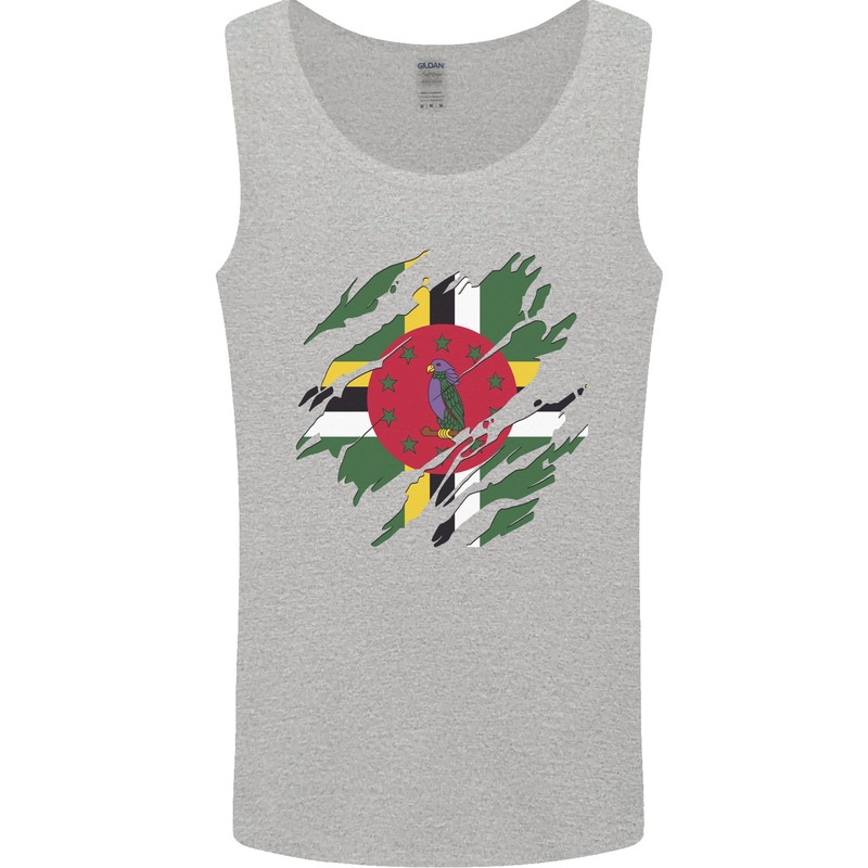 Torn Dominica Flag Dominican Day Football Mens Vest Tank Top Sports Grey