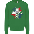 Torn Dominican Republic Flag Dominicanos Day Kids Sweatshirt Jumper Irish Green