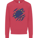 Torn EU Flag European Union Flag Football Kids Sweatshirt Jumper Heliconia
