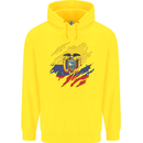 Torn Ecuador Flag Ecuadorian Day Football Childrens Kids Hoodie Yellow