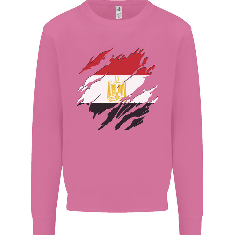 Torn Egypt Flag Egyptian Day Football Mens Sweatshirt Jumper Azalea