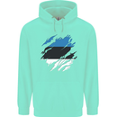Torn Estonia Flag Estonian Day Football Childrens Kids Hoodie Peppermint